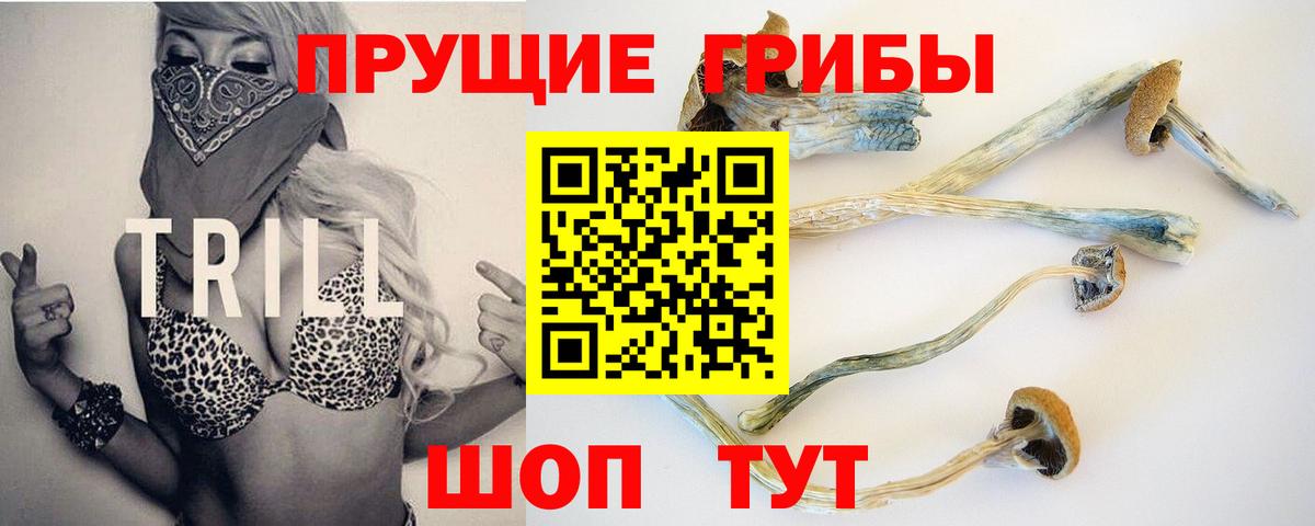Псилоцибиновые грибы GOLDEN TEACHER  Галлюциногенные грибы прущие грибы  Вход с VPN  Семёнов 